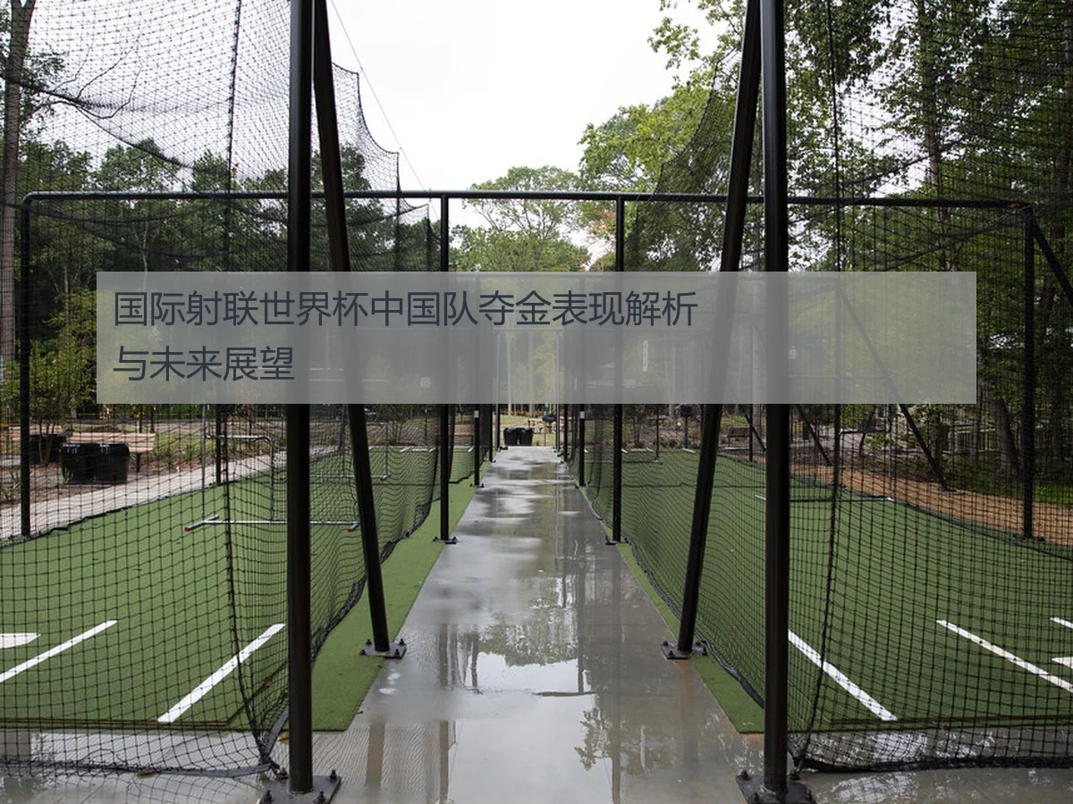 国际射联世界杯中国队夺金表现解析与未来展望